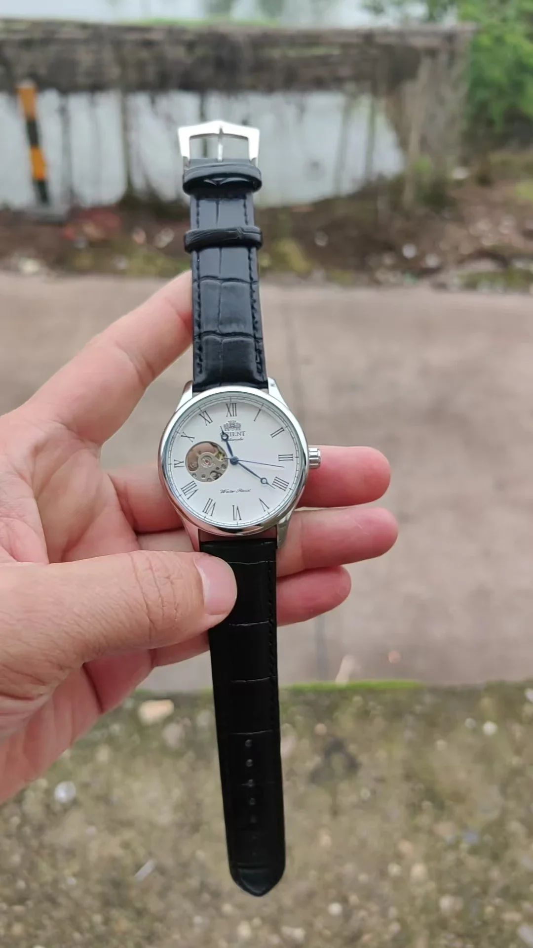 DFDG Mechanical Skeleton Watch - Seiko Watch Presage 评论和价格